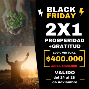 2 en 1 -Taller de Prosperidad + Gratitud