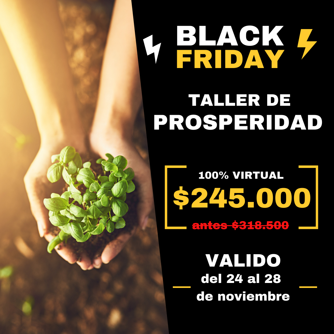 Taller de Prosperidad